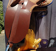Traditional Saddles