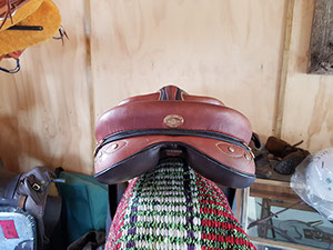 Traditional Saddles
