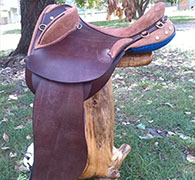 Traditional Saddles