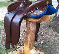 Traditional Saddles