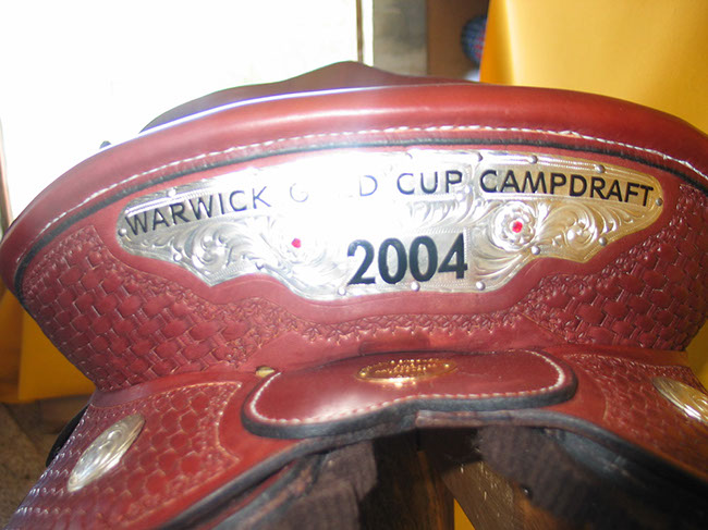 Trophy Saddle